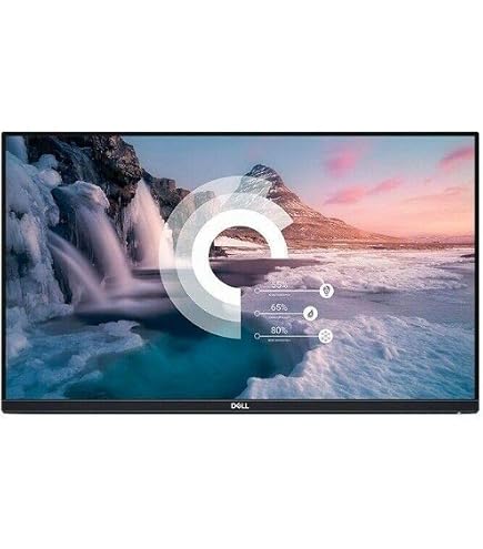 Amazon.com: Dell P2219H Display Port+HDMI 1920x1080 21.5in Monitor